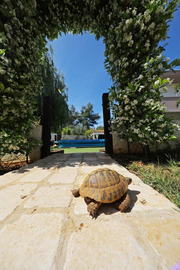 Apartments Mirakul ซาดาร์ ภายนอก รูปภาพ